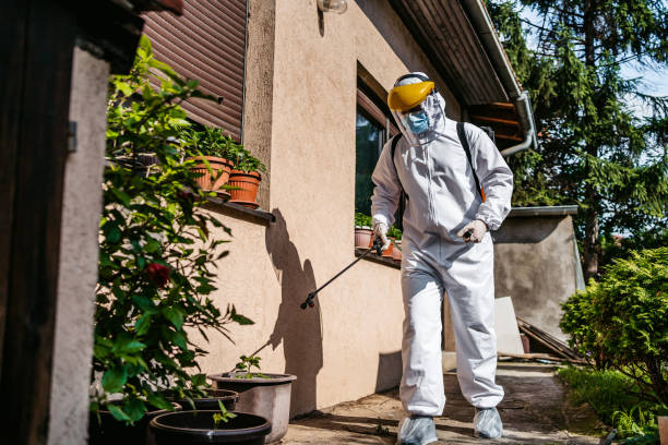 Best Termite Control Services  in Barrett, TX