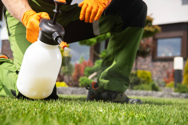 Best Emergency Pest Control  in Barrett, TX