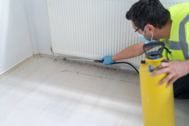 Best Commercial Pest Control Services  in Barrett, TX