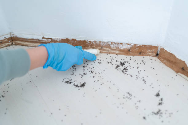 Wildlife Control Services in Barrett, TX